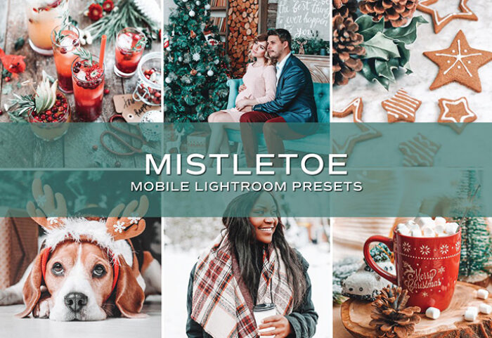 10 پریست لایت روم مواد حرفه ای تم تعطیلات Holiday Lightroom Presets