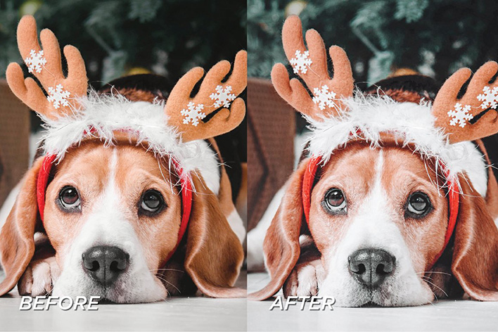 10 پریست لایت روم مواد حرفه ای تم تعطیلات Holiday Lightroom Presets 10 پریست لایت روم مواد حرفه ای تم تعطیلات Holiday Lightroom Presets