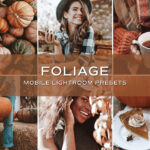 10 پریست لایت روم پاییز حرفه ای Foliage Lightroom Presets