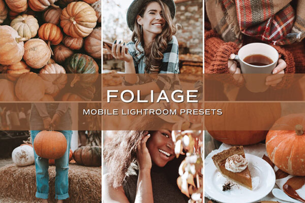 10 پریست لایت روم پاییز حرفه ای Foliage Lightroom Presets
