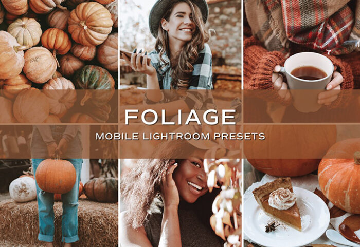 10 پریست لایت روم پاییز حرفه ای Foliage Lightroom Presets