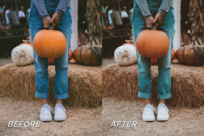 10 پریست لایت روم پاییز حرفه ای Foliage Lightroom Presets 10 پریست لایت روم پاییز حرفه ای Foliage Lightroom Presets