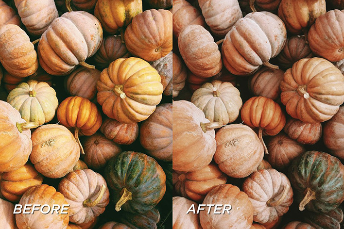 10 پریست لایت روم پاییز حرفه ای Foliage Lightroom Presets 10 پریست لایت روم پاییز حرفه ای Foliage Lightroom Presets