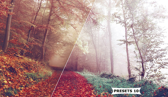 10 پریست پاییزی لایت روم حرفه ای Autumn Lightroom Presets 10 پریست پاییزی لایت روم حرفه ای Autumn Lightroom Presets