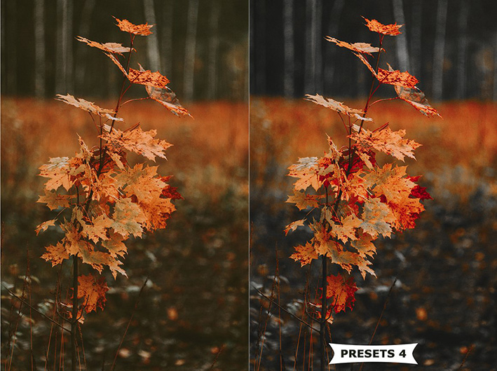 10 پریست پاییزی لایت روم حرفه ای Autumn Lightroom Presets