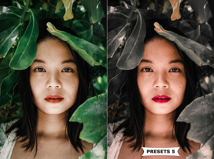 10 پریست پاییزی لایت روم حرفه ای Autumn Lightroom Presets