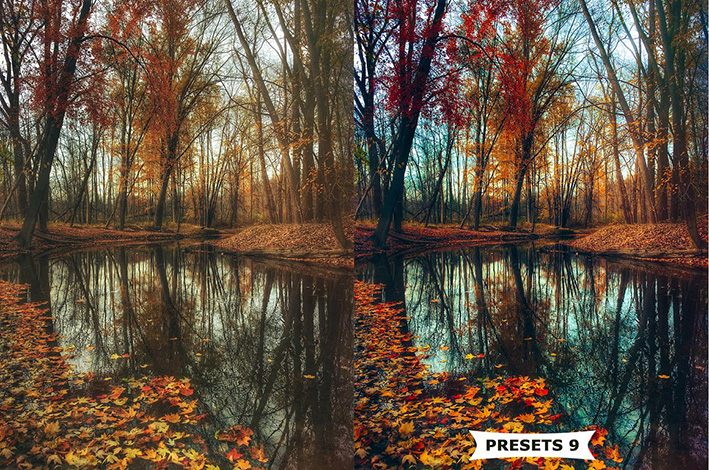 10 پریست پاییزی لایت روم حرفه ای Autumn Lightroom Presets 10 پریست پاییزی لایت روم حرفه ای Autumn Lightroom Presets