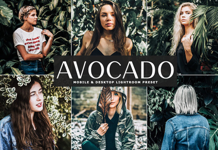 20 پریست لایت روم حرفه ای تم آوکادو Avocado Mint Mood Lightroom Presets