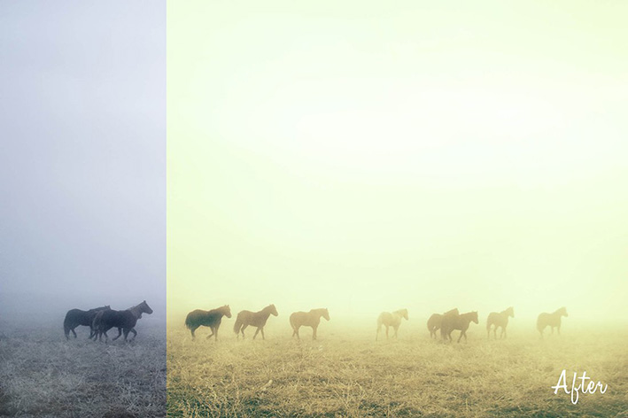 30 پریست حرفه ای لایت روم سینمایی Cross Process Lightroom Presets 30 پریست حرفه ای لایت روم سینمایی Cross Process Lightroom Presets
