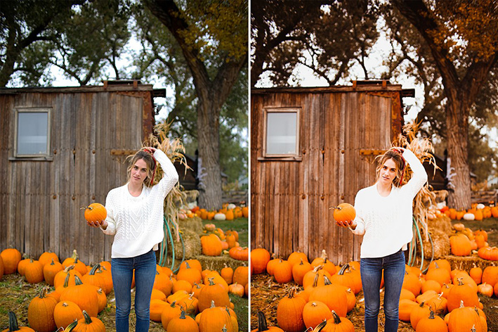 30 پریست لایت روم پاییز و پریست کمرا راو AUTUMN VIBES Lightroom Preset 30 پریست لایت روم پاییز و پریست کمرا راو AUTUMN VIBES Lightroom Preset