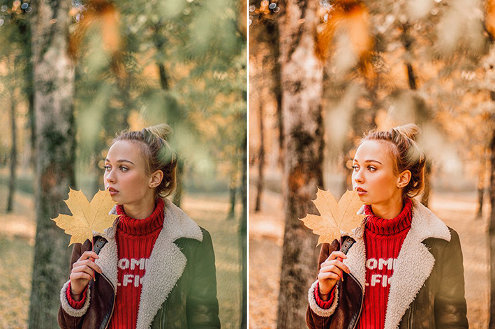 30 پریست لایت روم پاییز و پریست کمرا راو AUTUMN VIBES Lightroom Preset 30 پریست لایت روم پاییز و پریست کمرا راو AUTUMN VIBES Lightroom Preset