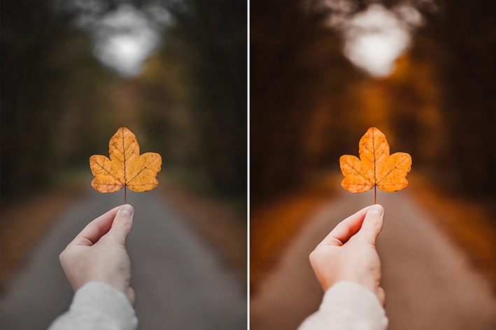 30 پریست لایت روم پاییز و پریست کمرا راو AUTUMN VIBES Lightroom Preset 30 پریست لایت روم پاییز و پریست کمرا راو AUTUMN VIBES Lightroom Preset