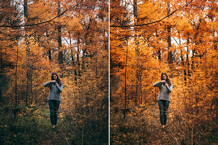 30 پریست لایت روم پاییز و پریست کمرا راو AUTUMN VIBES Lightroom Preset 30 پریست لایت روم پاییز و پریست کمرا راو AUTUMN VIBES Lightroom Preset