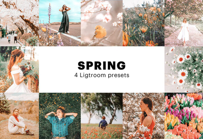 8 پریست لایت روم بهار دسکتاپ و موبایل Spring Lightroom Presets