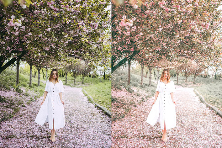 8 پریست لایت روم بهار دسکتاپ و موبایل Spring Lightroom Presets 8 پریست لایت روم بهار دسکتاپ و موبایل Spring Lightroom Presets