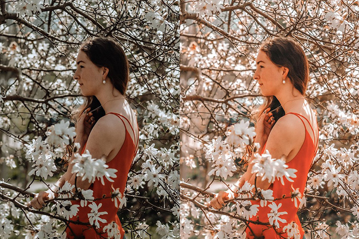 8 پریست لایت روم بهار دسکتاپ و موبایل Spring Lightroom Presets 8 پریست لایت روم بهار دسکتاپ و موبایل Spring Lightroom Presets