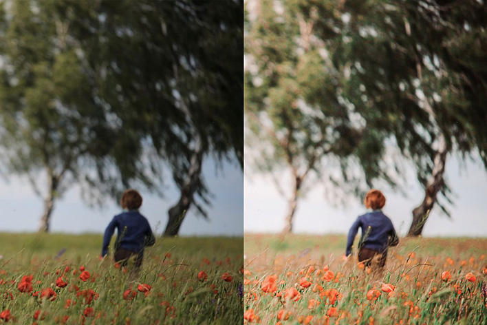 8 پریست لایت روم بهار دسکتاپ و موبایل Spring Lightroom Presets 8 پریست لایت روم بهار دسکتاپ و موبایل Spring Lightroom Presets