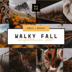 دانلود 12 پریست پاییزی لایت روم Deep Fall Lightroom Presets Pack