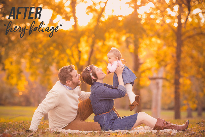 دانلود پریست پاییزی لایت روم حرفه ای Colesclassroom Forever Fall Lightroom Presets دانلود پریست پاییزی لایت روم حرفه ای Colesclassroom Forever Fall Lightroom Presets