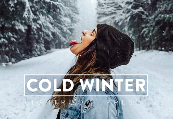 30 پریست لایت روم زمستان و پریست کمراراو WINTER Lightroom Preset
