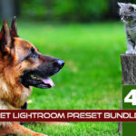 40 پریست لایت روم حرفه ای حیوانات خانگی Pet Lightroom Preset Bundle