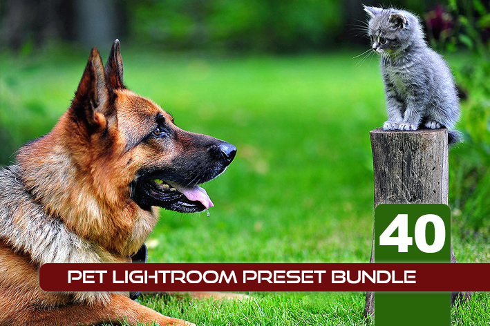 40 پریست لایت روم حرفه ای حیوانات خانگی Pet Lightroom Preset Bundle 40 پریست لایت روم حرفه ای حیوانات خانگی Pet Lightroom Preset Bundle