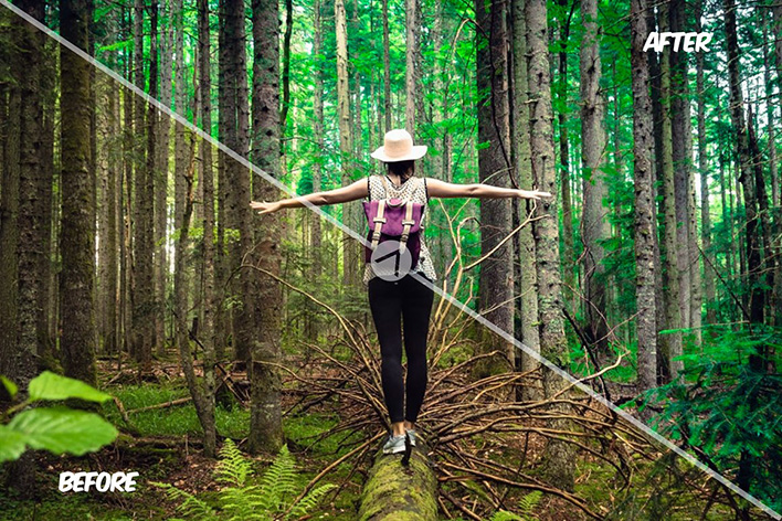20 پریست لایت روم و اکشن فتوشاپ و لات رنگی تم جنگل سبز Green Forest Presets 20 پریست لایت روم و اکشن فتوشاپ و لات رنگی تم جنگل سبز Green Forest Presets