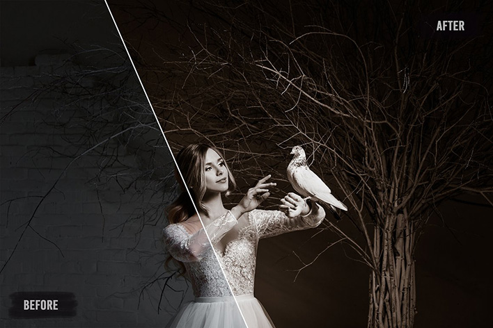 50 پریست لایت روم حرفه ای عروسی افکت قهوه ای Sepia Wedding Lightroom Presets 50 پریست لایت روم حرفه ای عروسی افکت قهوه ای Sepia Wedding Lightroom Presets