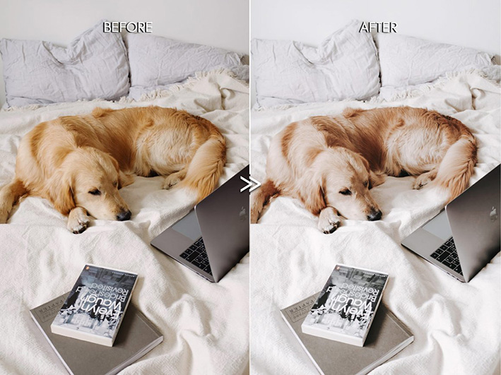 30 پریست لایت روم حرفه ای تم رنگی روشن MINIMAL VSCO LIGHTROOM PRESETS 30 پریست لایت روم حرفه ای تم رنگی روشن MINIMAL VSCO LIGHTROOM PRESETS