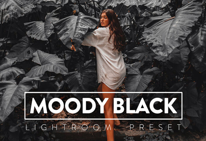 30 پریست لایت روم و پریست کمرا راو فتوشاپ تم تیره Moody Black Lightroom Presets