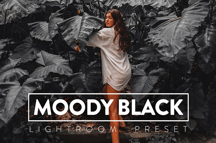 30 پریست لایت روم و پریست کمرا راو فتوشاپ تم تیره Moody Black Lightroom Presets 30 پریست لایت روم و پریست کمرا راو فتوشاپ تم تیره Moody Black Lightroom Presets