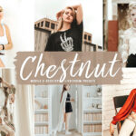 40 پریست لایت روم و پریست کمرا راو و اکشن فتوشاپ رنگ شاه بلوط Chestnut Lightroom Presets
