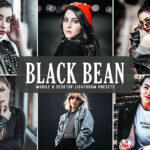 40 پریست لایت روم و کمراراو و اکشن کمراراو فتوشاپ تم لوبیای سیاه Black Bean Pro Lightroom Presets