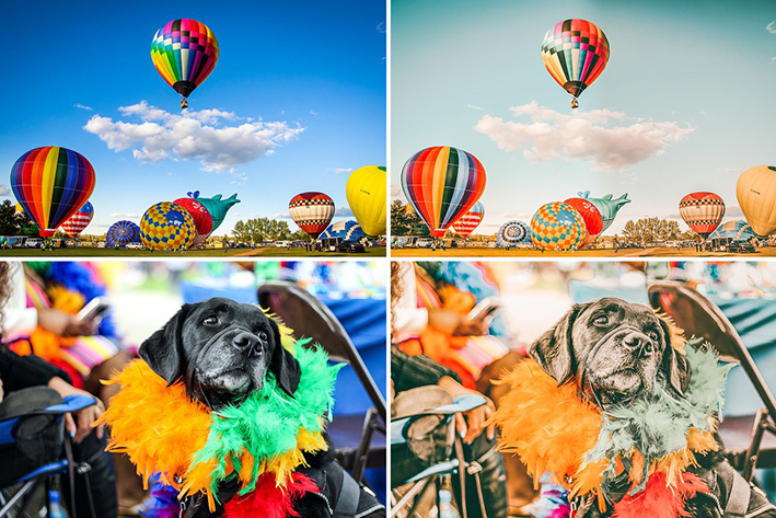 1600 پریست لایت روم 2021 آتلیه عکاسی HUGE Bundle Lightroom presets