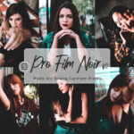 21 پریست لایت روم سینمایی 2021 حرفه ای Pro Film Noir Desktop& Mobile LR