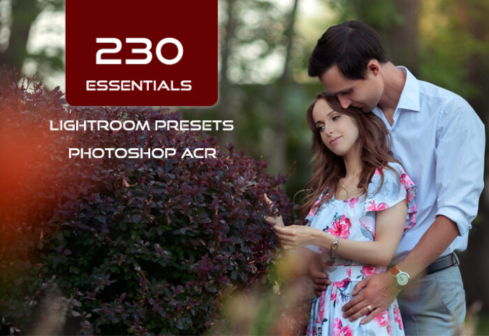 230 پریست لایت روم و پریست کمرا راو فتوشاپ و براش لایت روم Essentials Lightroom presets And Photoshop ACR