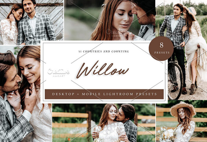 24 پریست رنگی لایت روم حرفه ای Willow Lightroom Presets