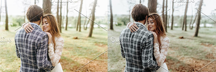 24 پریست رنگی لایت روم حرفه ای Willow Lightroom Presets