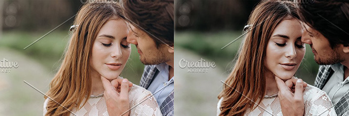 24 پریست رنگی لایت روم حرفه ای Willow Lightroom Presets