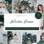 36 پریست لایت روم زمستان تم زمستان سبز Winter Green Lightroom Presets