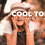 20 پریست رنگی لایت روم حرفه ای تم حال خوب Cool Tone Lightroom Preset