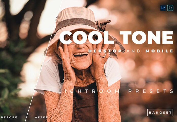 20 پریست رنگی لایت روم حرفه ای تم حال خوب Cool Tone Lightroom Preset