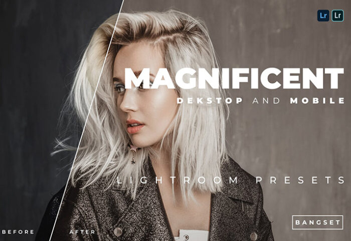 20 پریست رنگی لایت روم حرفه ای تم مجلل Magnificent Lightroom Preset