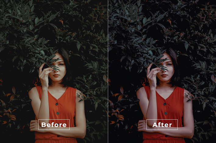 20 پریست رنگی لایت روم حرفه ای سینمایی Chyara Lightroom Preset 20 پریست رنگی لایت روم حرفه ای سینمایی Chyara Lightroom Preset