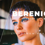 20 پریست رنگی لایت روم حرفه ای عکس پرتره Berenice Lightroom Preset
