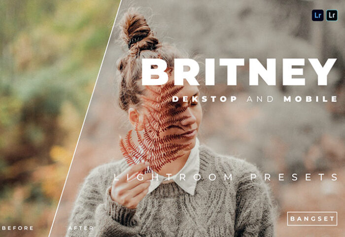20 پریست رنگی لایت روم حرفه ای عکس پرتره Britney Lightroom Preset