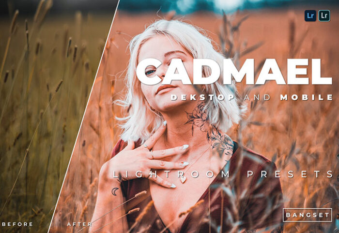 20 پریست رنگی لایت روم حرفه ای عکس پرتره Cadmael Lightroom Preset