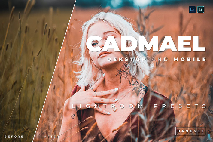 20 پریست رنگی لایت روم حرفه ای عکس پرتره Cadmael Lightroom Preset 20 پریست رنگی لایت روم حرفه ای عکس پرتره Cadmael Lightroom Preset