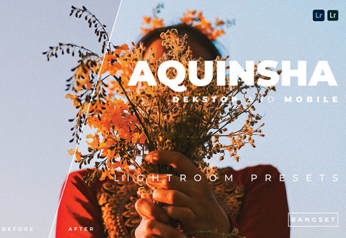 20 پریست رنگی لایت روم پرتره حرفه ای Aquinsha Lightroom Preset