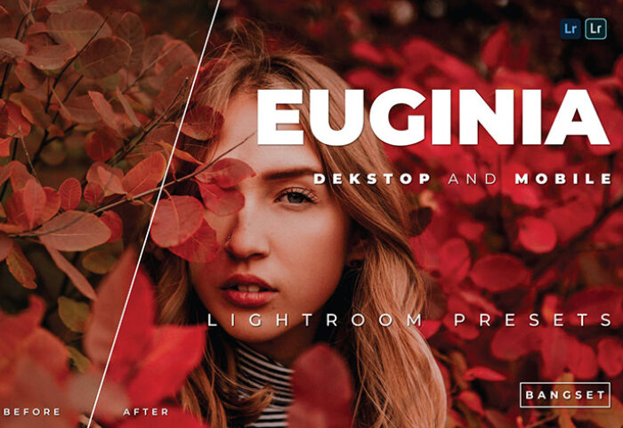 20 پریست رنگی پرتره حرفه ای لایت روم Euginia Lightroom Preset
